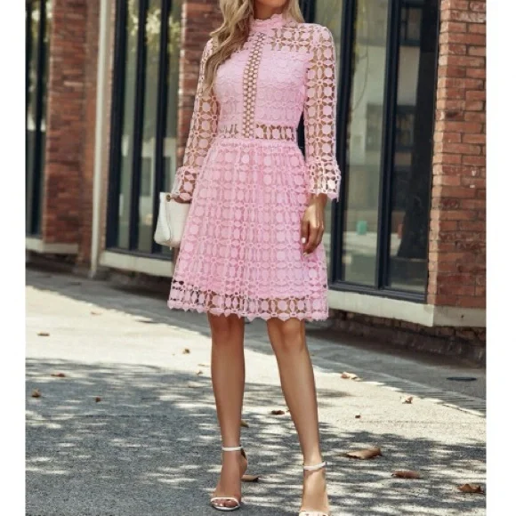 Luxurious mesh insert lace dress